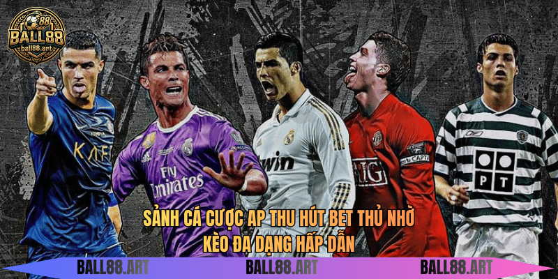 Sảnh cá cược AP thu hút bet thủ nhờ kèo đa dạng hấp dẫn